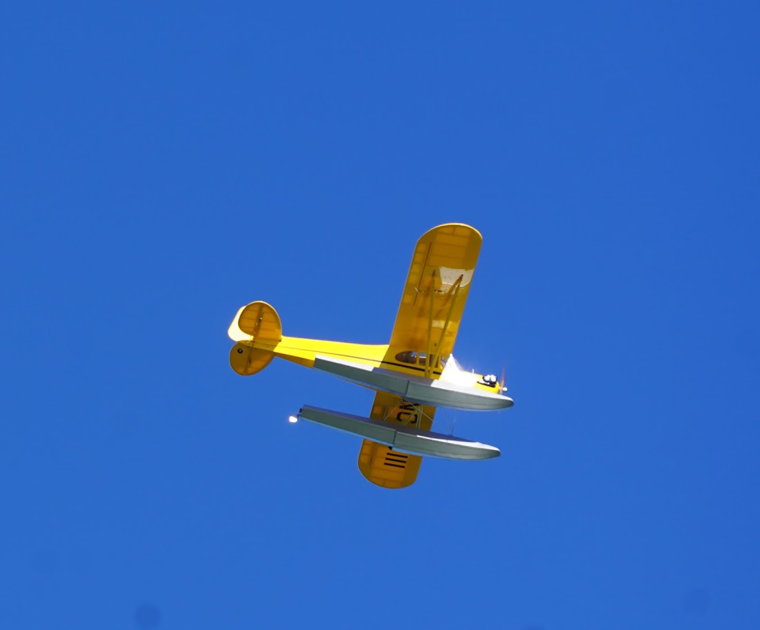 DSC04776