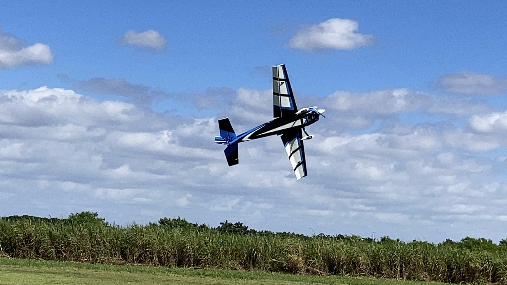 IMG_1998