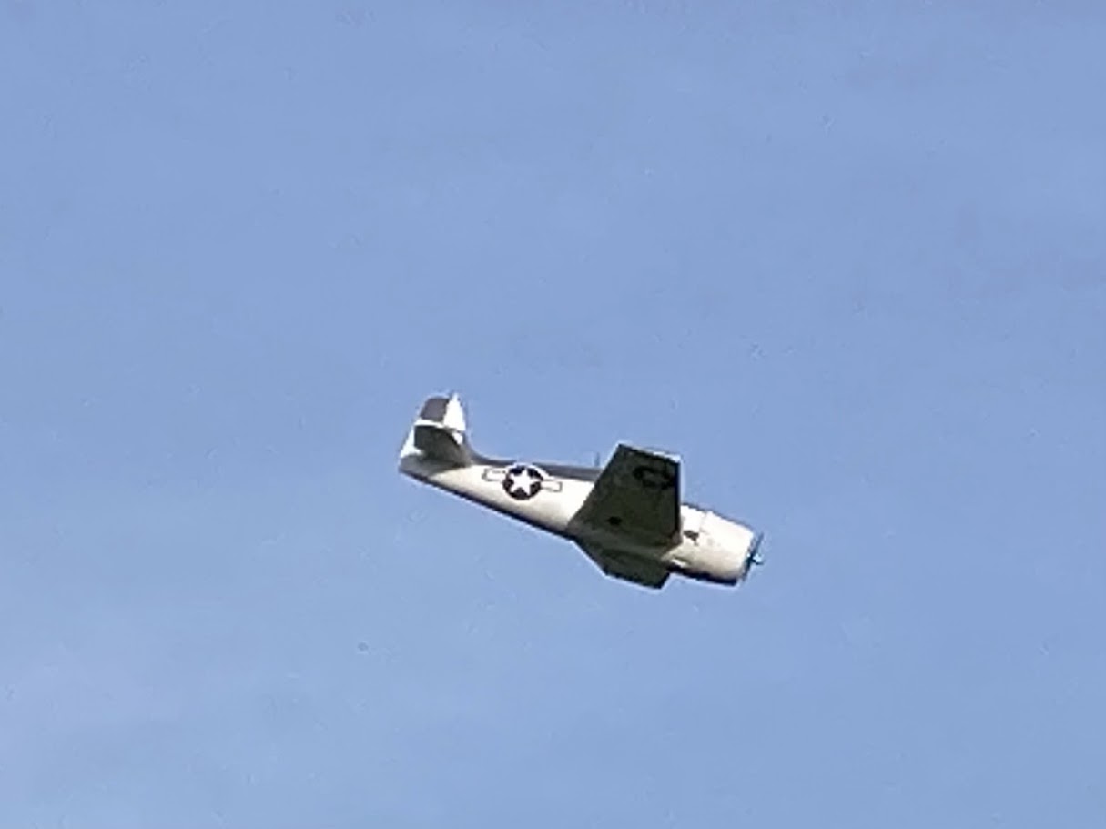 IMG_E8664